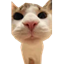 Server favicon of meepcraft.com