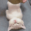 Server favicon of withermc.de
