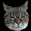 Server favicon of mc.maukissa.com