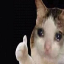 Server favicon of 88.150.171.65