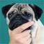 Server favicon of pj.crafterslegacy.net