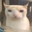 Server favicon of 45.93.200.10:25575