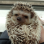 Server favicon of masonic.wasteofti.me