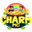 Server favicon of play.charmmc.net
