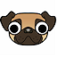 Server favicon of lanapug.com