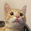 Server favicon of 51.79.35.16:25572