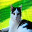 Server favicon of 37.114.55.83