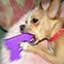 Server favicon of myherounleashed.com