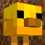 Server favicon of protoxon.com