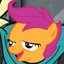 Server favicon of play.realmcade.net